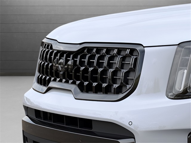2025 Kia Telluride X-Pro photo 11