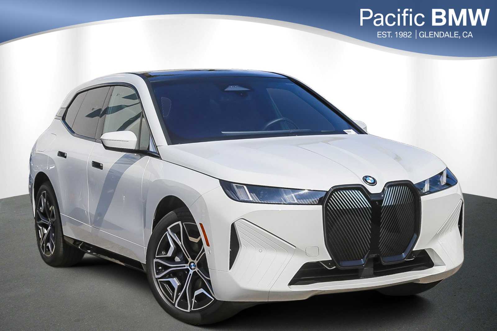 2026 BMW iX 60's photo