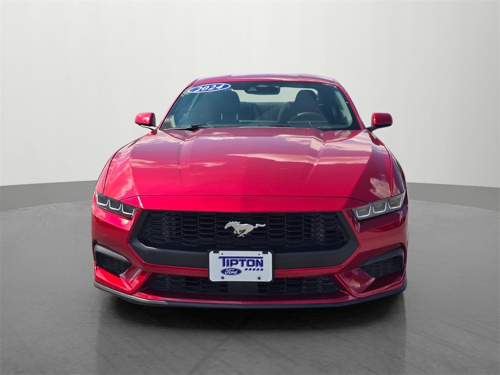 2024 Ford Mustang EcoBoost photo 2