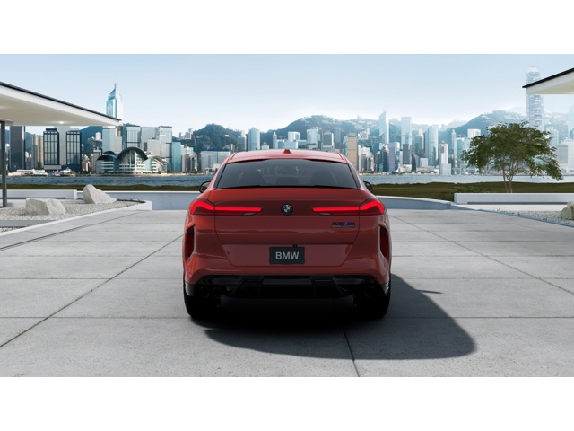 2026 Bmw X6 photo 4