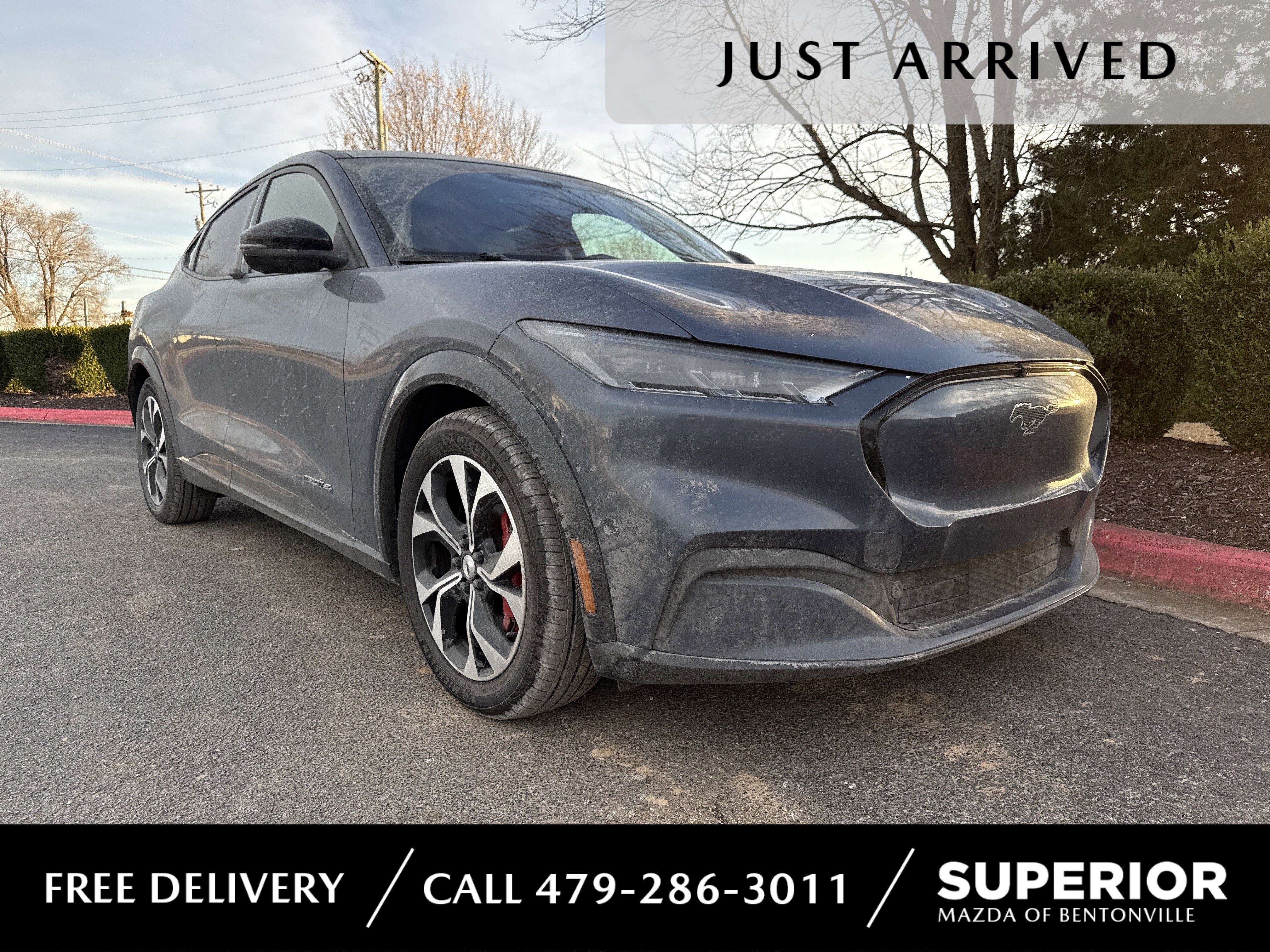 2021 Ford Mustang Mach-E Premium AWD's photo