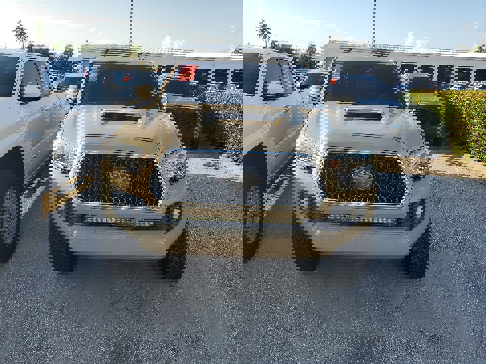 3TMDZ5BN9JM037995