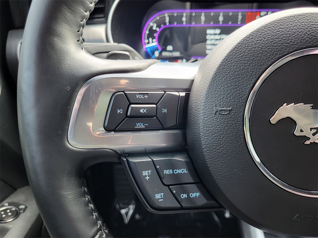 2021 Ford Mustang Mach 1 photo 19