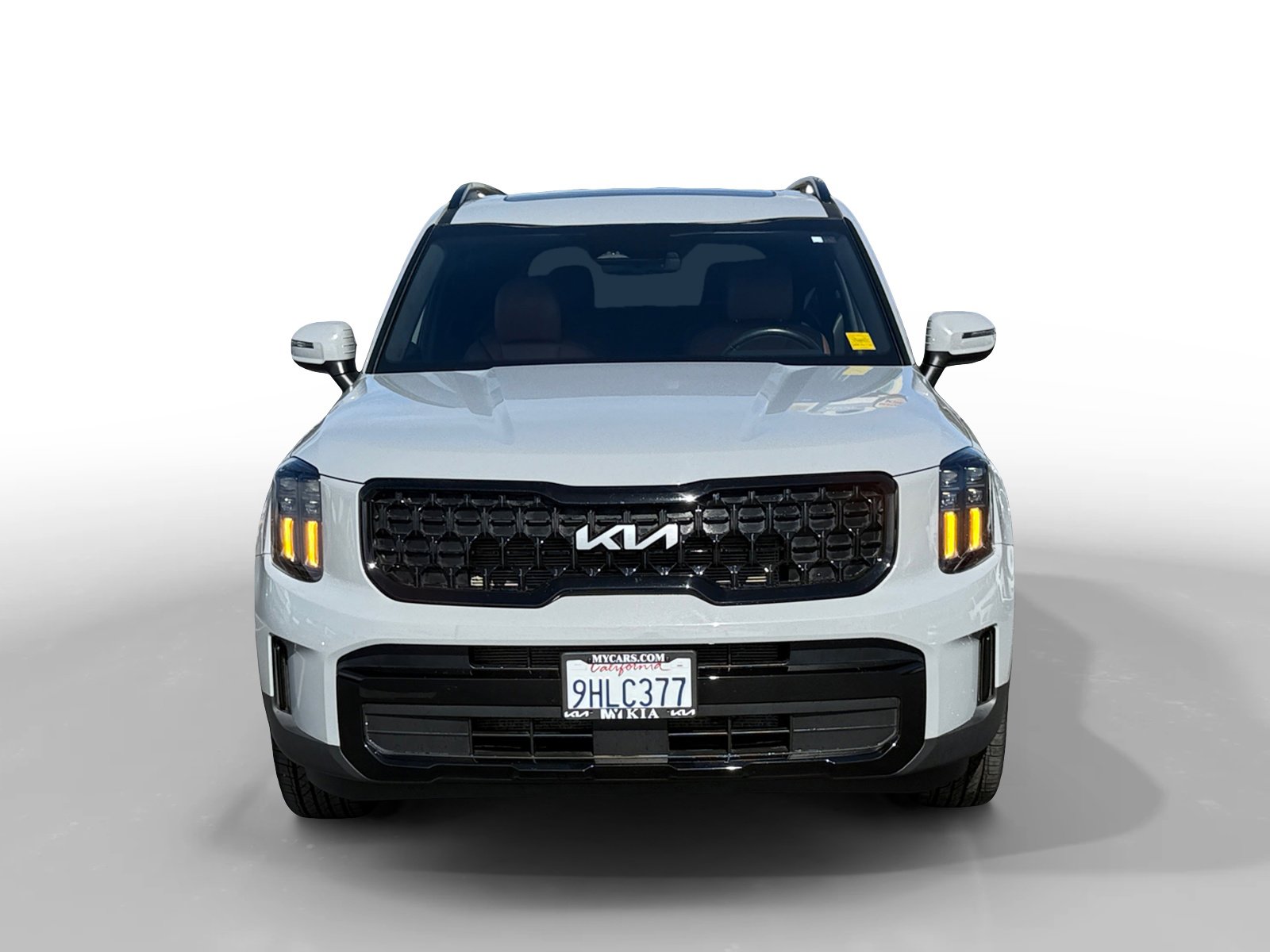 2024 Kia Telluride EX X-Line photo 8