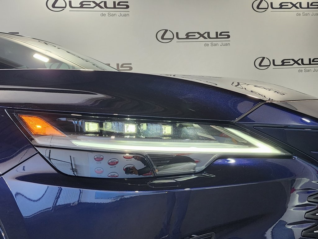 2025 Lexus RX 450h+ Luxury AWD photo 5