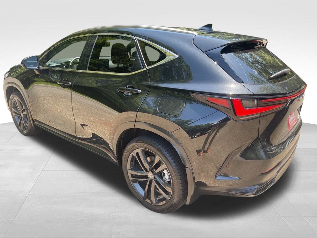 2024 Lexus NX 450h+ Luxury photo 2