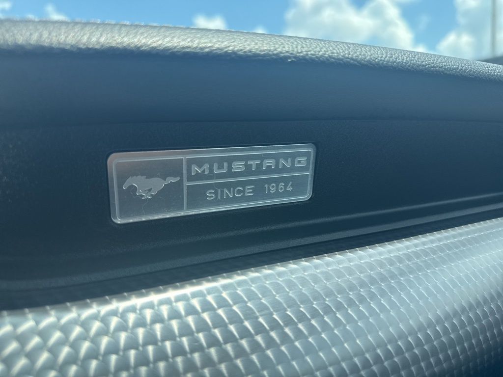 2016 Ford Mustang GT Premium photo 20