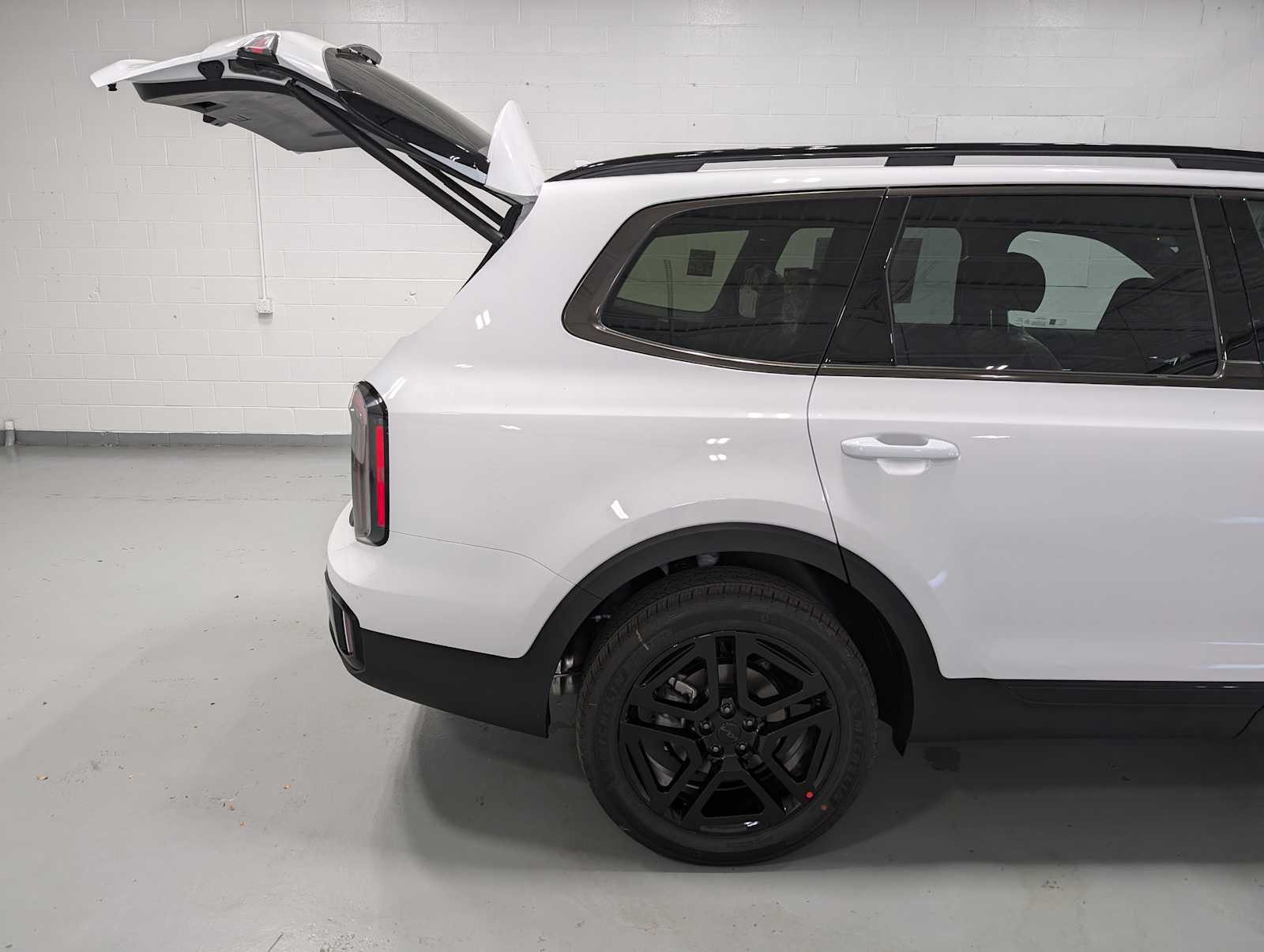 2025 Kia Telluride EX X-Line photo 8