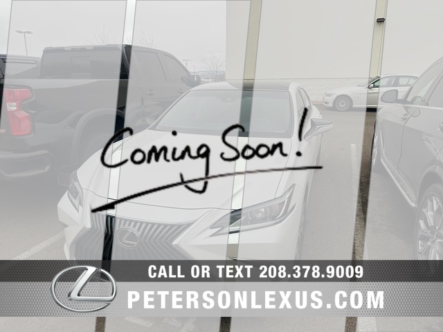 2019 Lexus ES 350's photo