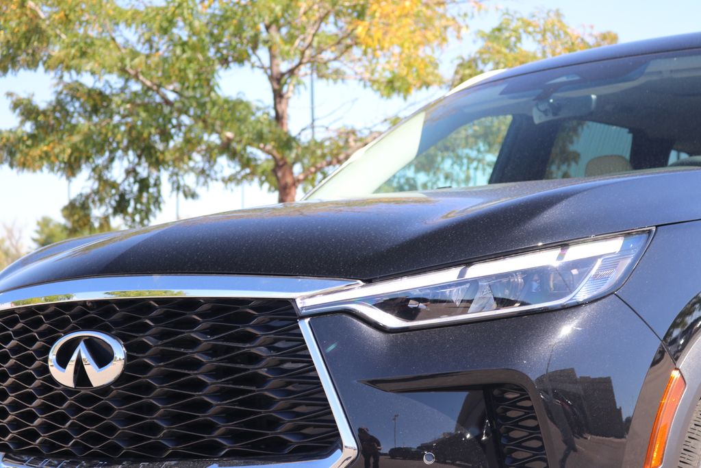 2025 Infiniti QX60 Luxe photo 8