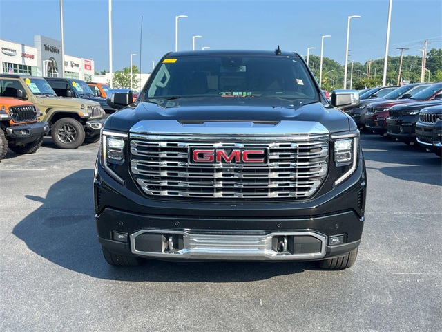 2023 Gmc Sierra 1500 Denali photo 9