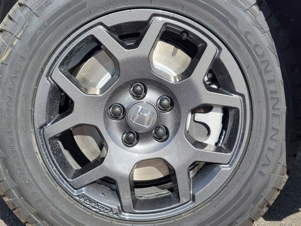 2025 Honda Pilot TrailSport photo 3