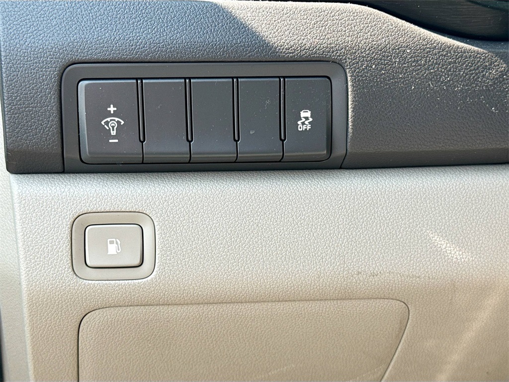 2015 Kia Sedona LX photo 10
