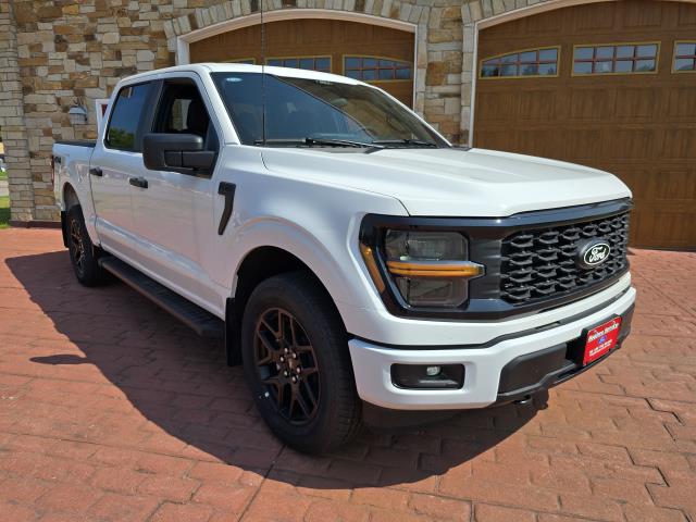 2025 Ford F-150 STX's photo