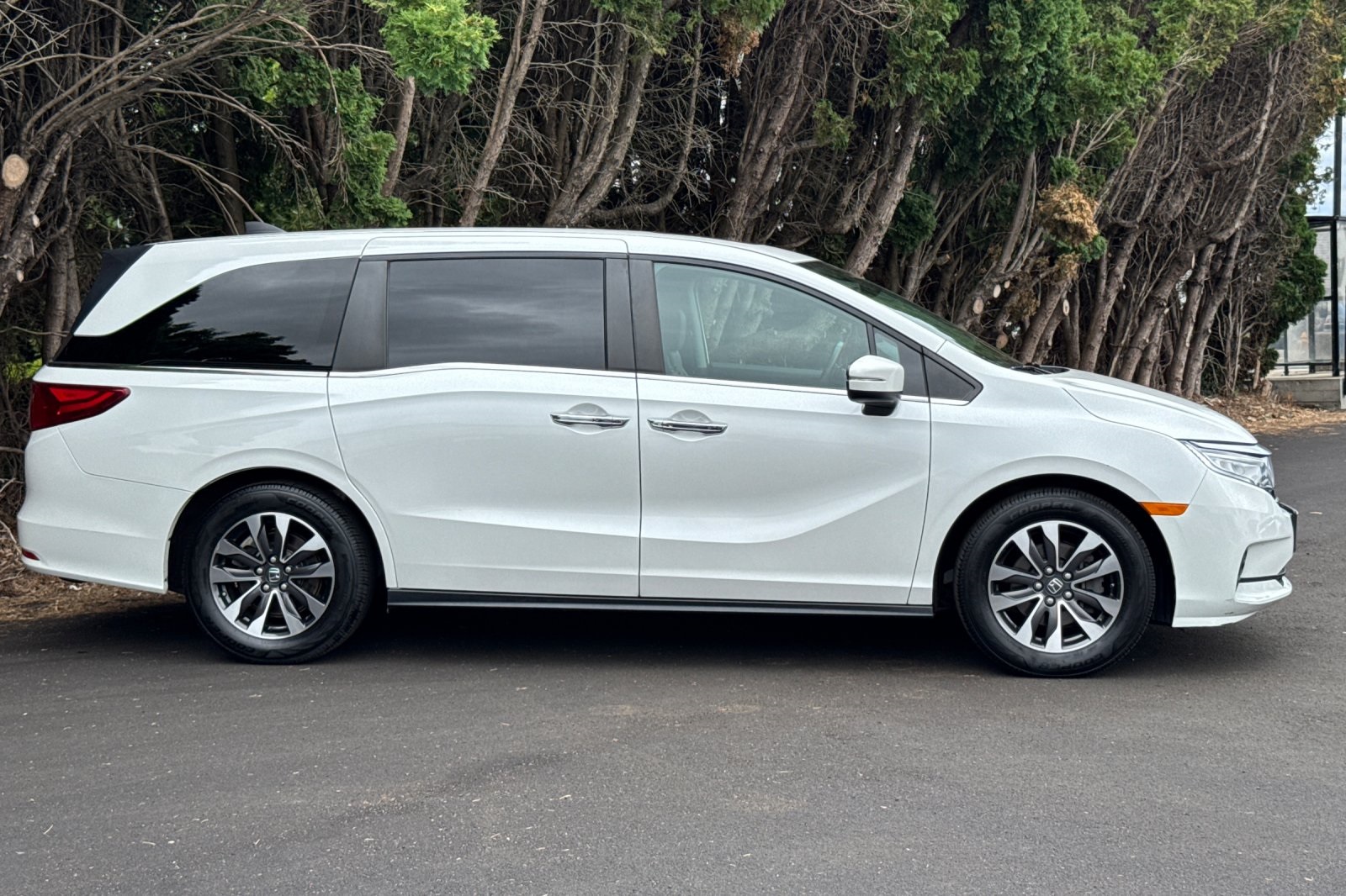 2022 Honda Odyssey EX-L photo 3