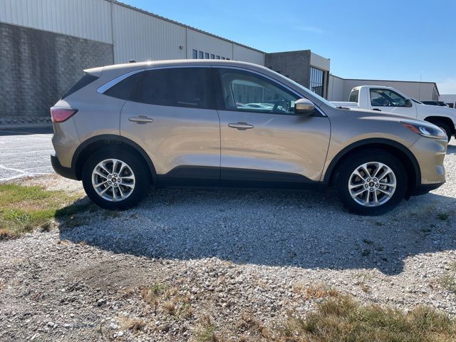 2021 Ford Escape SE Hybrid photo 4