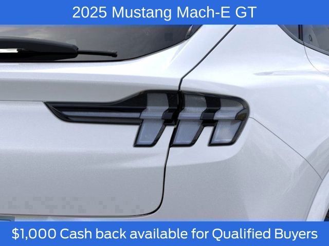 2025 Ford Mustang Mach-E GT photo 15