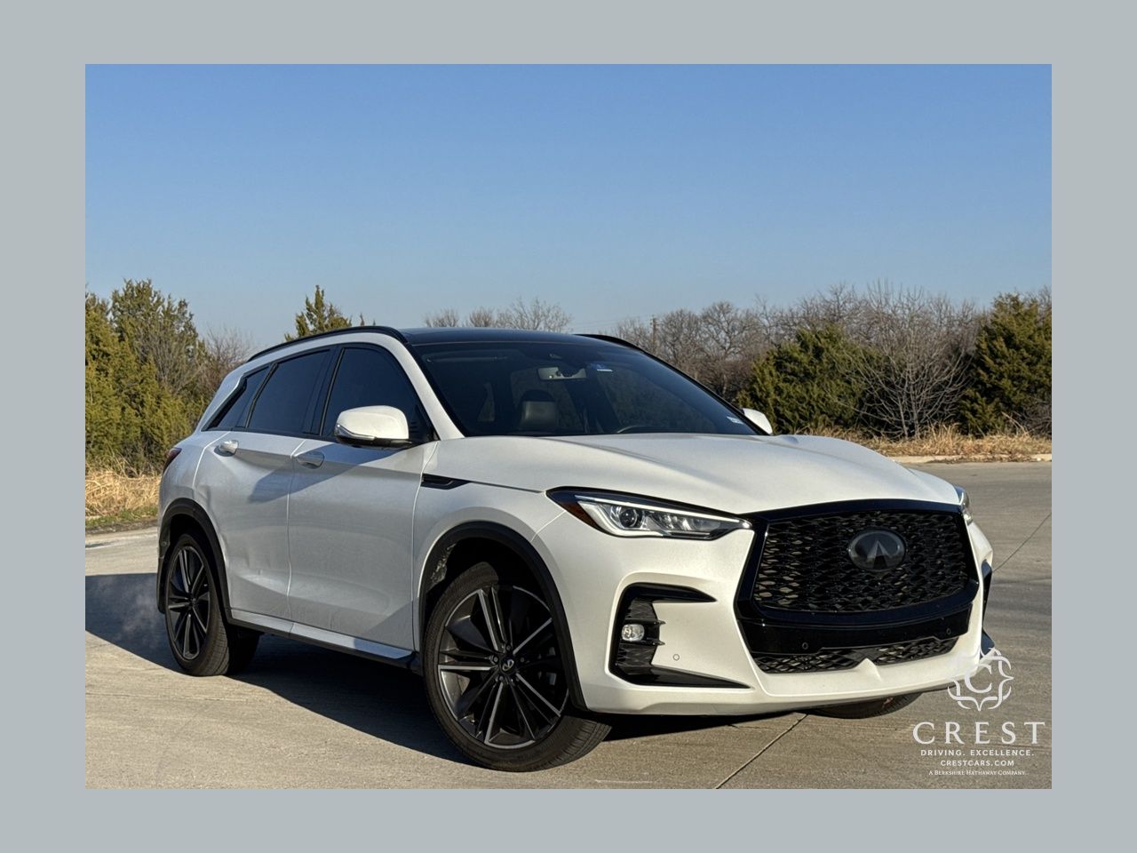 2023 INFINITI QX50 Sport's photo