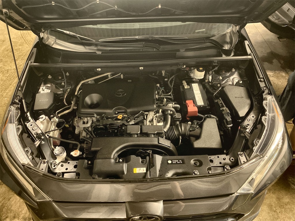 2019 Toyota RAV4 XLE photo 14