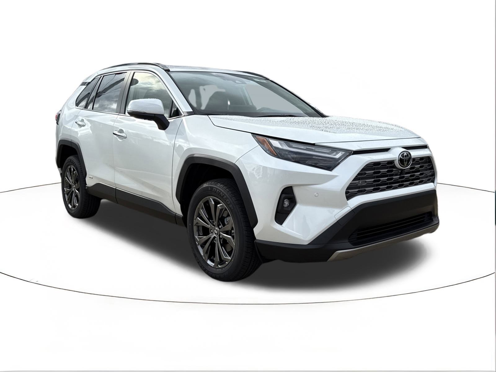 2025 Toyota RAV4 Limited's photo
