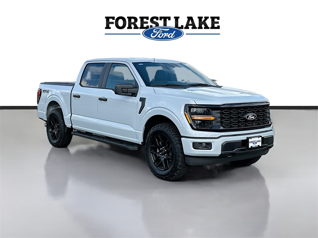 2025 Ford F-150 STX's photo