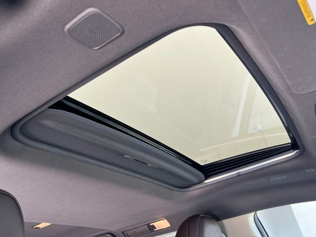 2024 Toyota Sienna Platinum photo 29