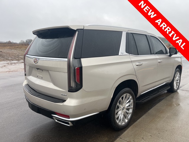 2023 Cadillac Escalade Premium Luxury photo 2