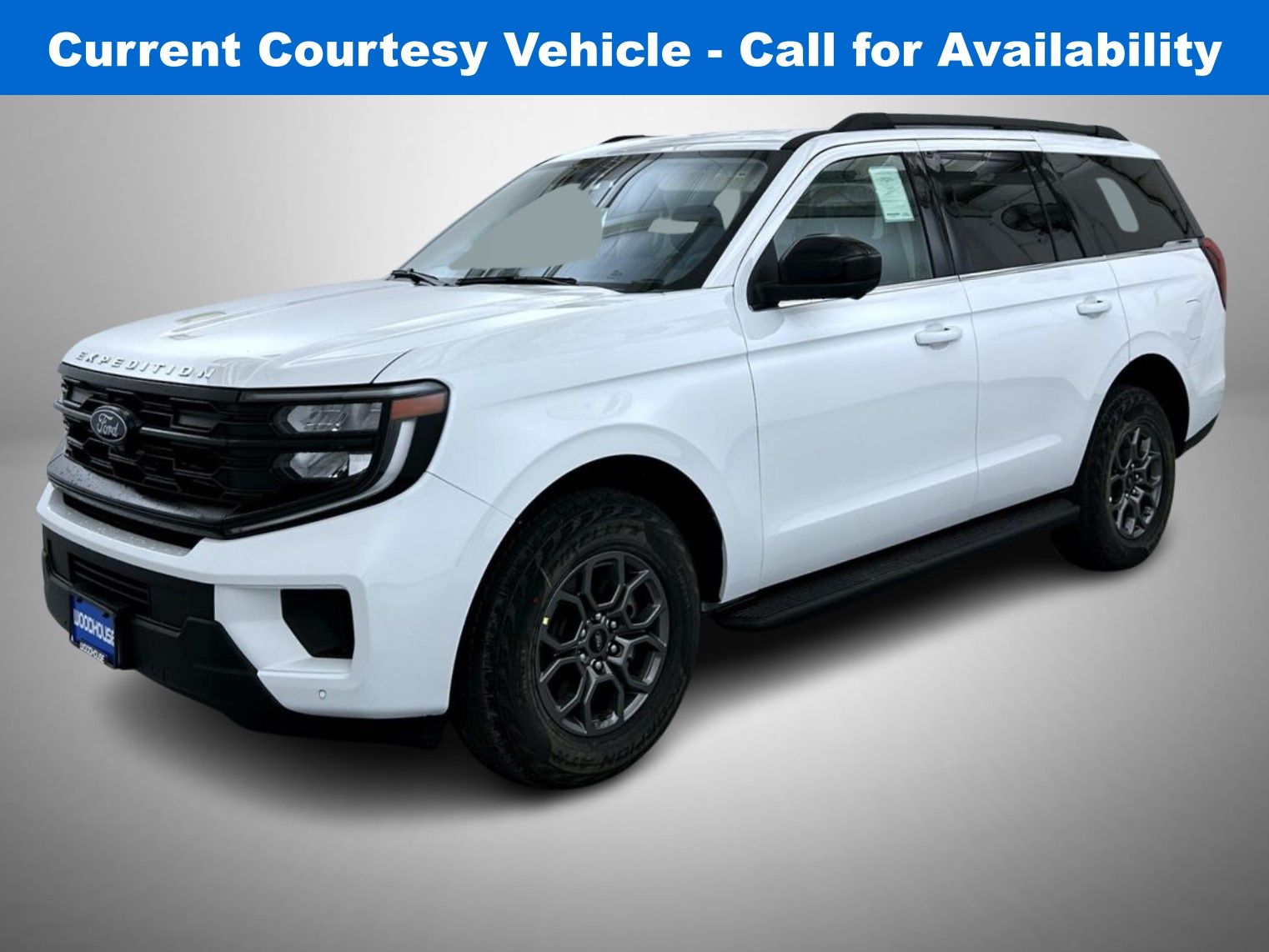 2025 Ford Expedition Active's photo