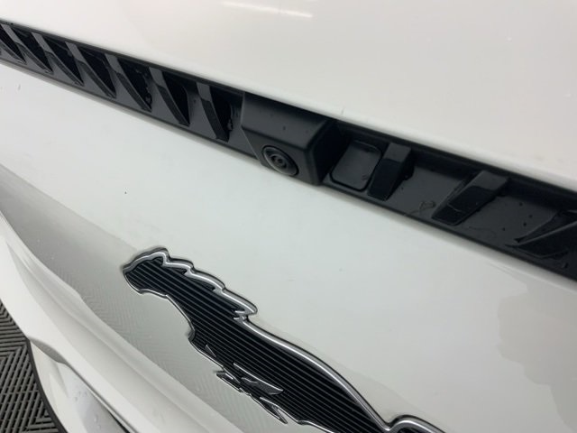 2024 Ford Mustang Mach-E Select photo 10