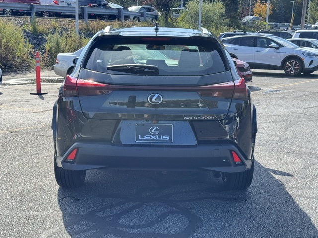 2025 Lexus UX Premium photo 2