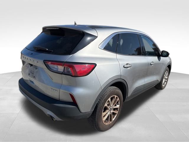 2022 Ford Escape SE photo 3