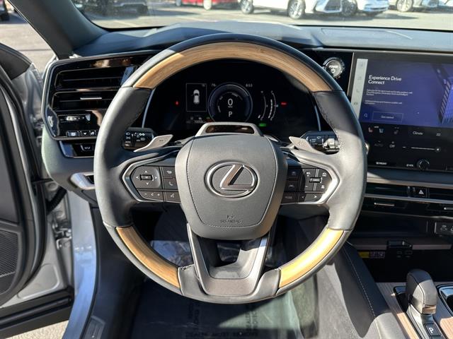 2024 Lexus RX Premium photo 15