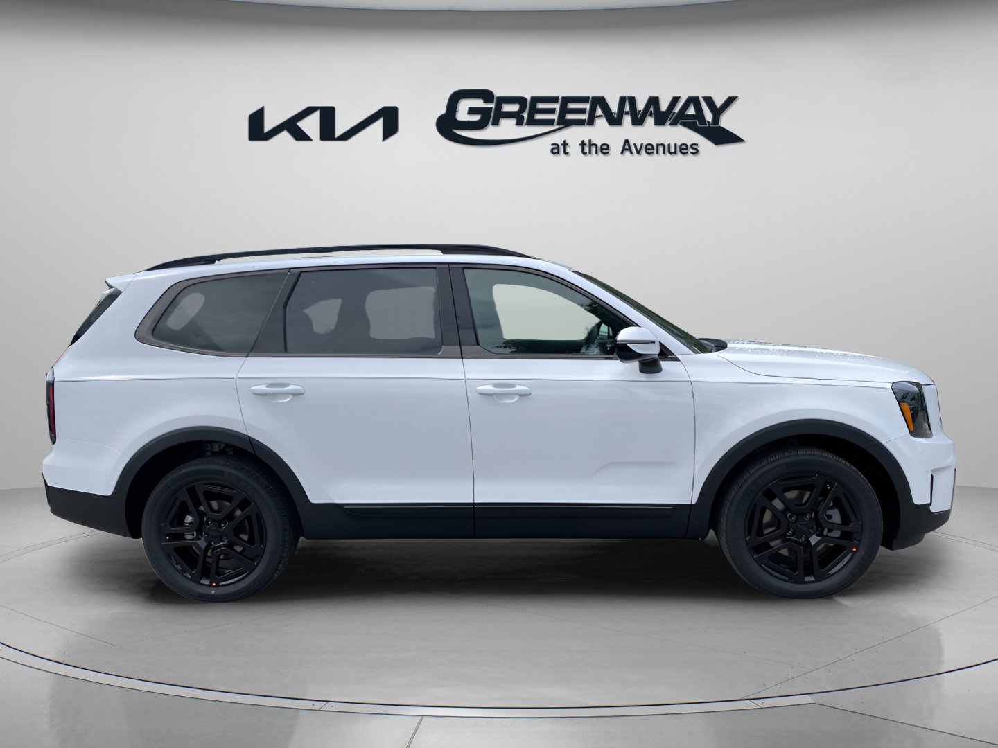 2025 Kia Telluride SX X-Line photo 4