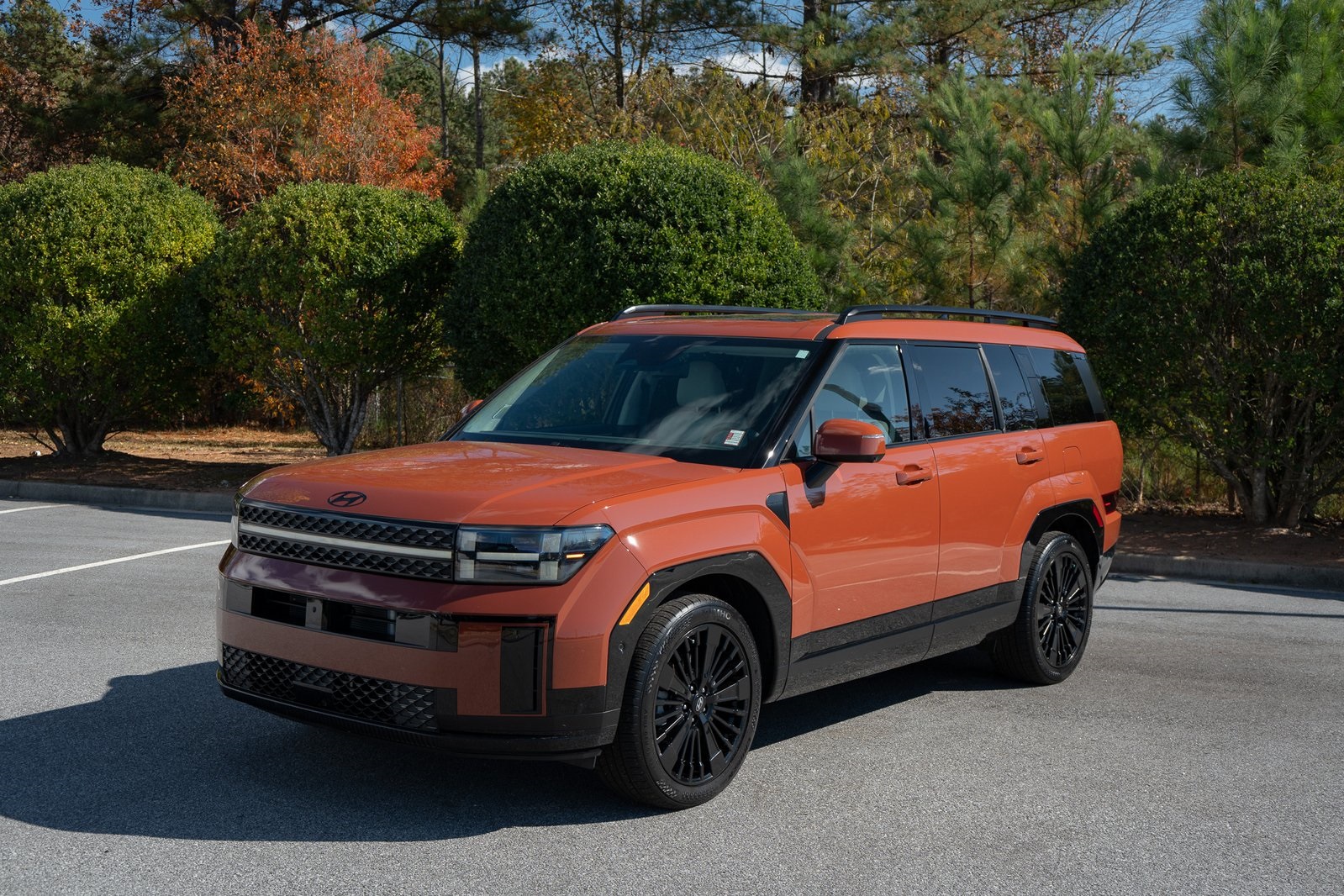 2025 Hyundai Santa Fe Calligraphy photo 2