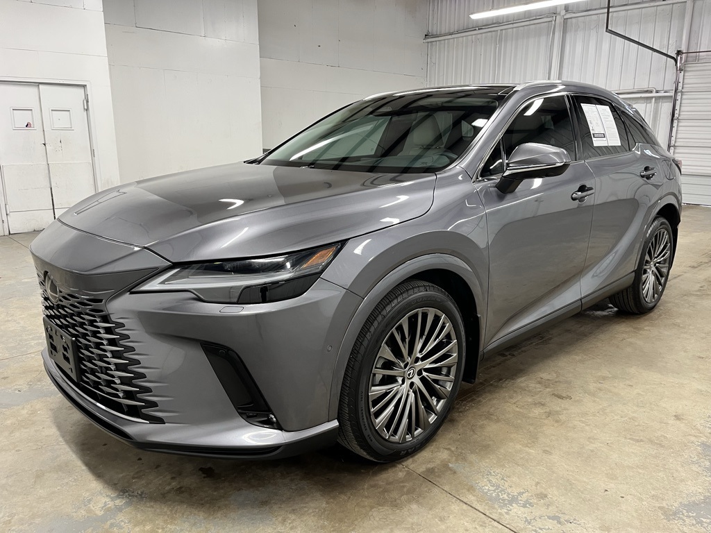 2023 Lexus RX 350 Luxury photo 3
