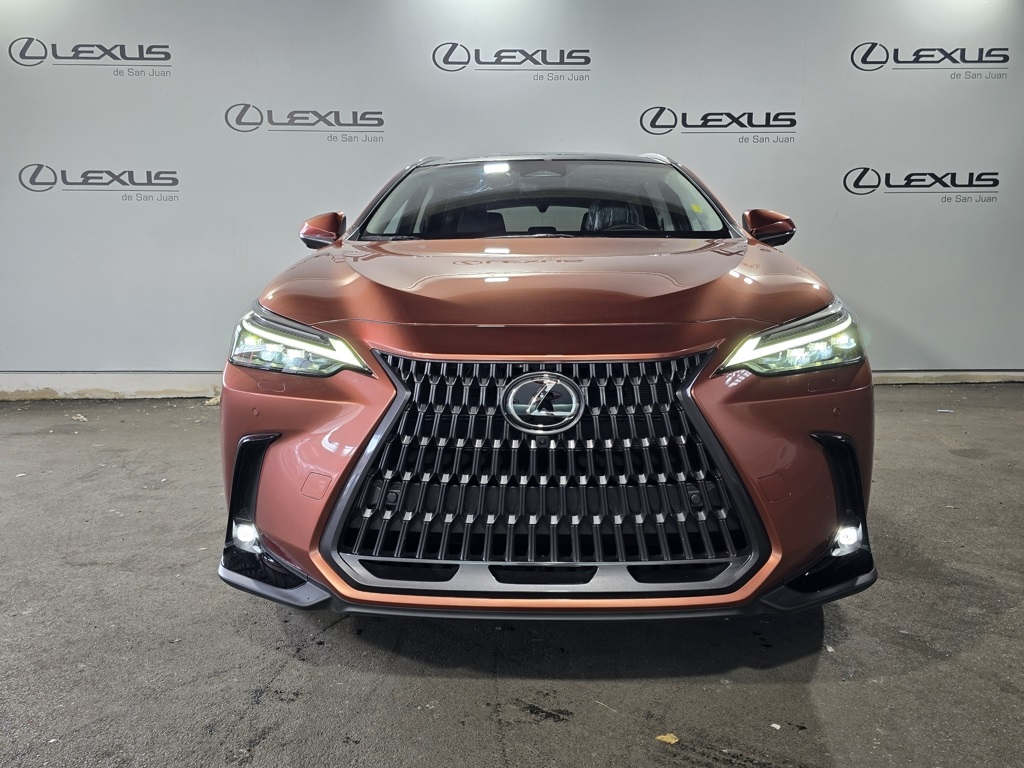 2025 Lexus NX 350h Premium AWD photo 6