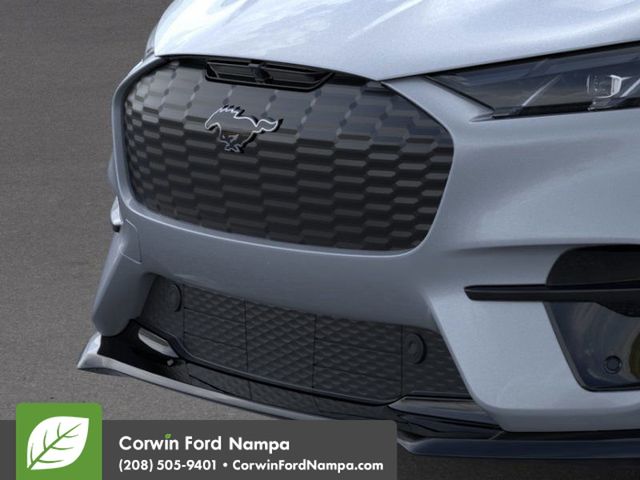 2025 Ford Mustang Mach-E Premium photo 10