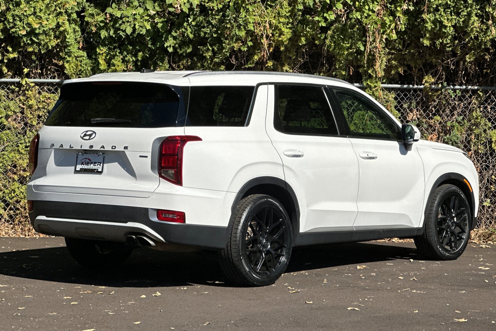 2021 Hyundai Palisade SEL photo 4