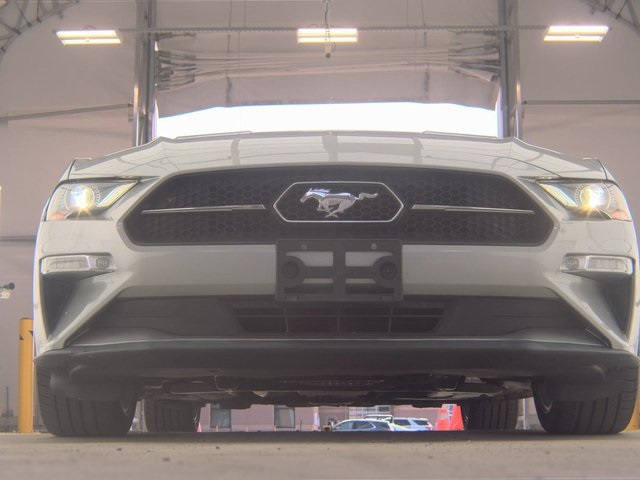 2021 Ford Mustang EcoBoost Premium photo 3