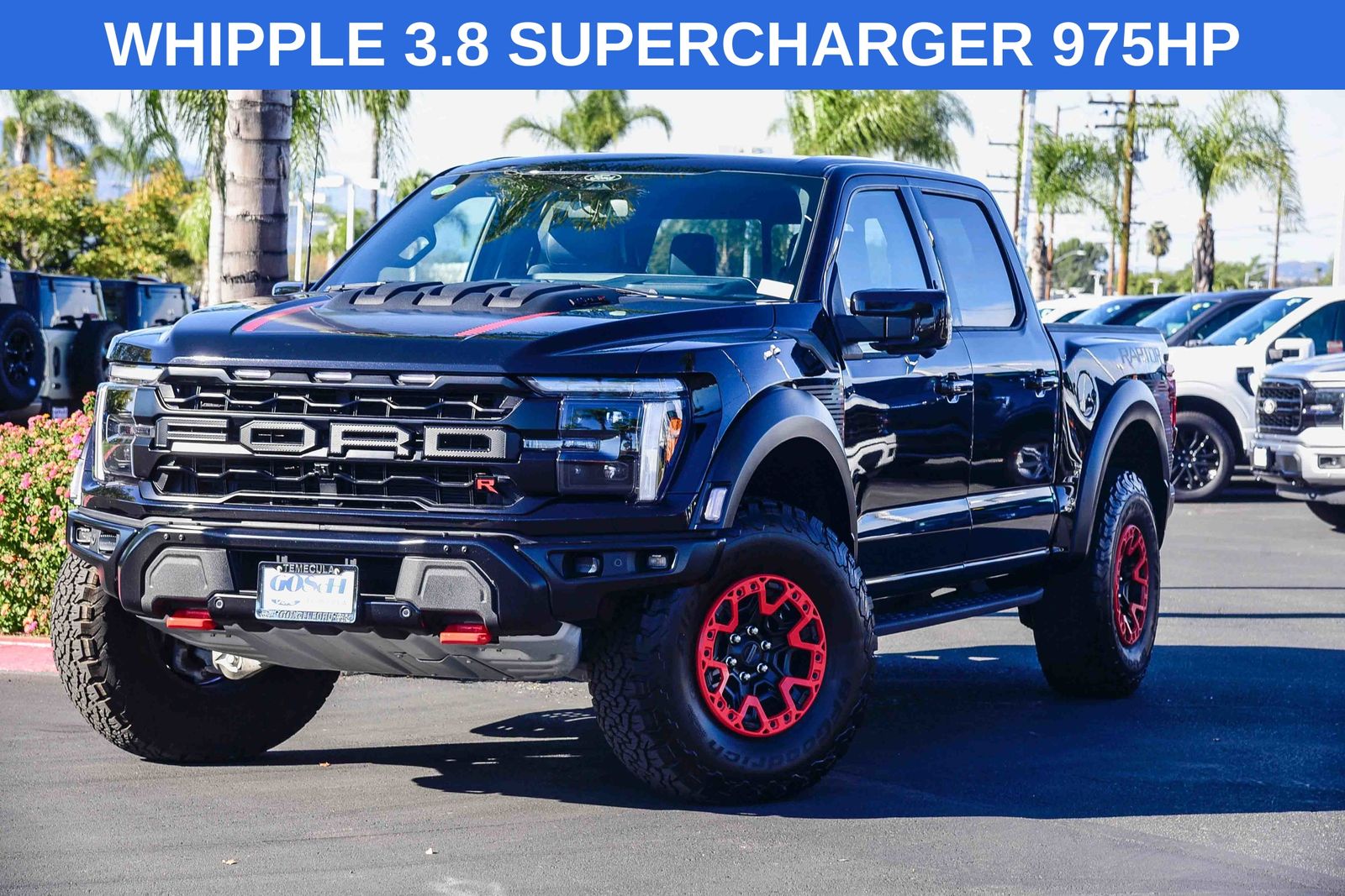 2024 Ford F-150 Raptor's photo