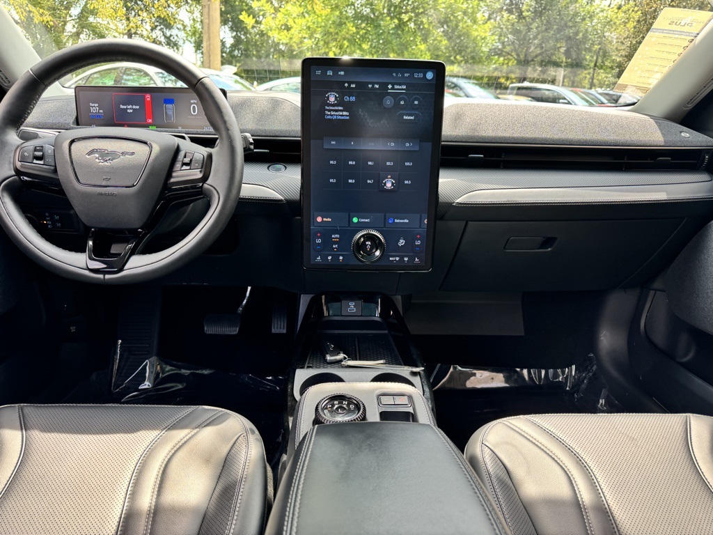2021 Ford Mustang Mach-E Premium photo 12