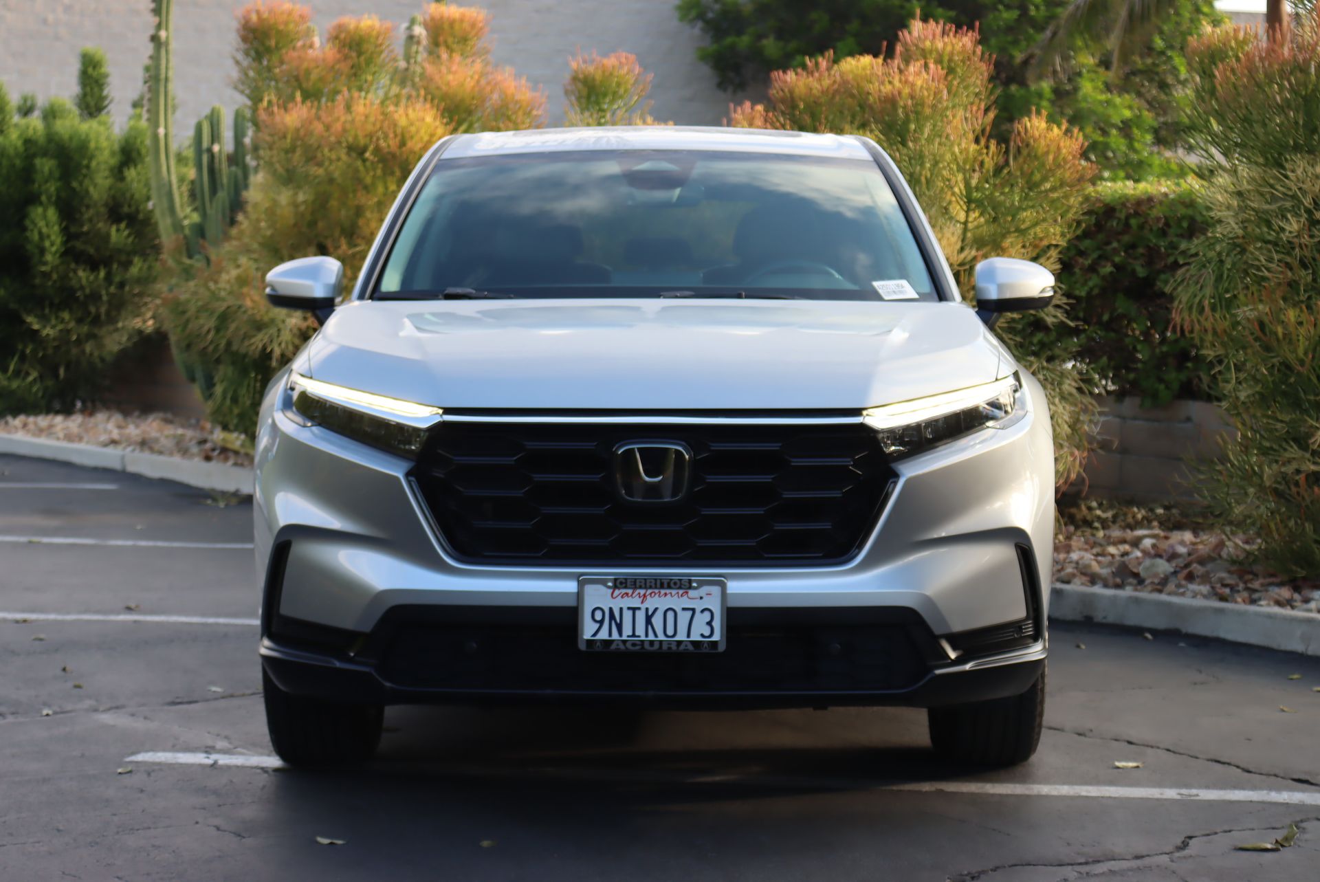 2024 Honda CR-V EX-L photo 3
