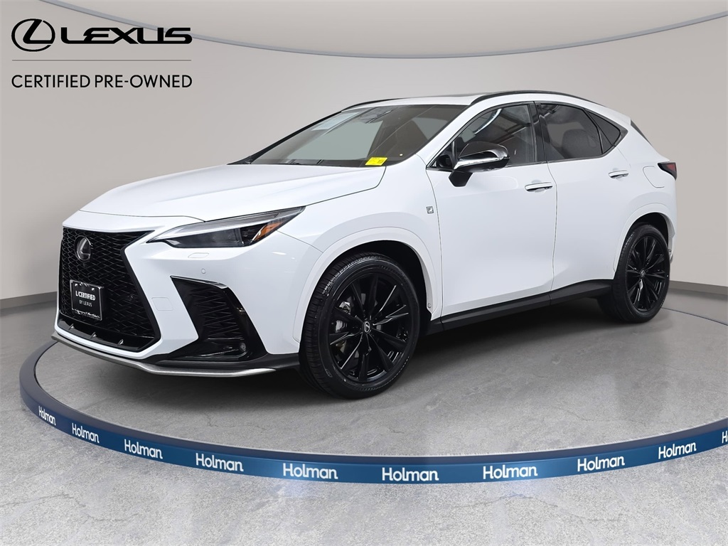 2024 Lexus NX PHEV 450h+'s photo