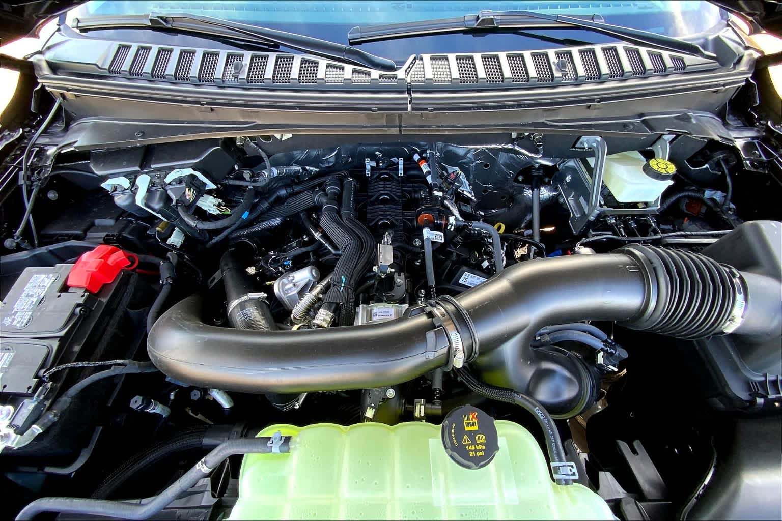 New 2024 Ford Expedition XLT Regular in Amarillo REA13588 Gene