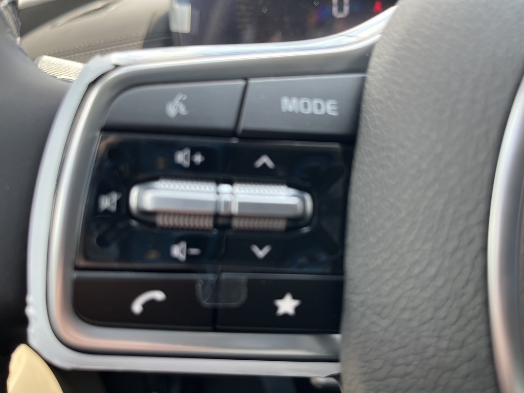2026 Kia Carnival EX photo 10