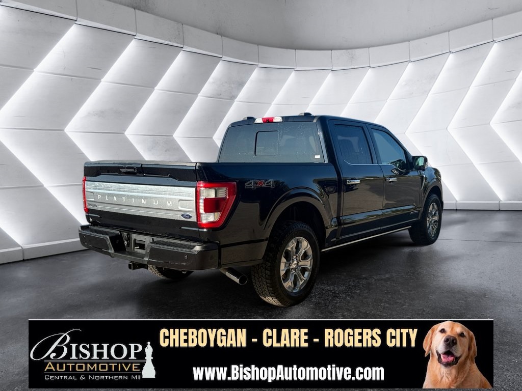 2021 Ford F-150 Platinum photo 10