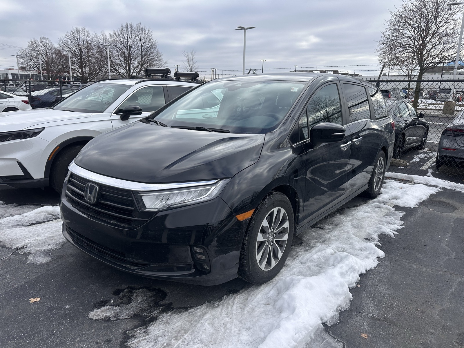 2023 Honda Odyssey EX-L's photo