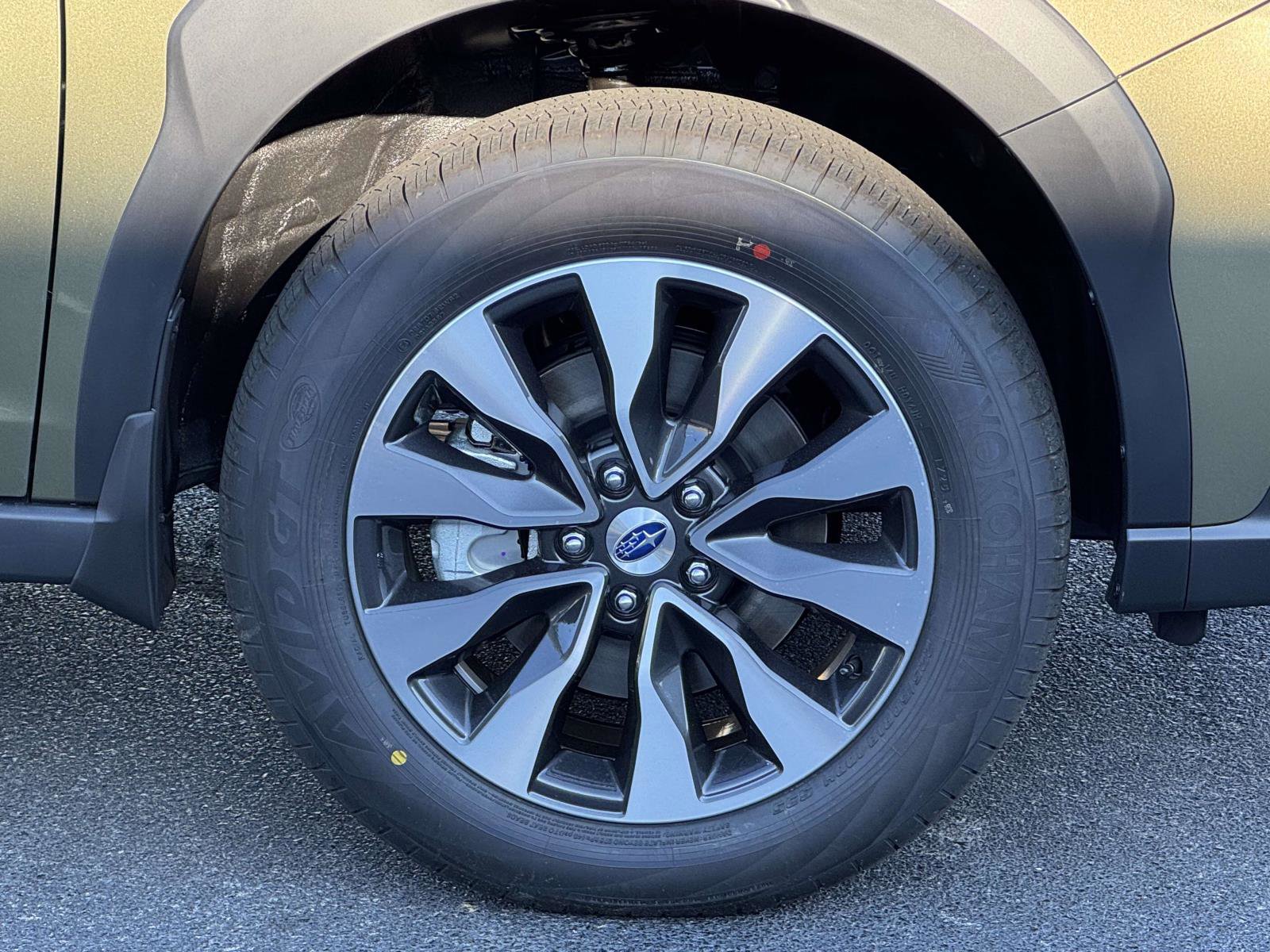 2025 Subaru Outback Limited photo 7