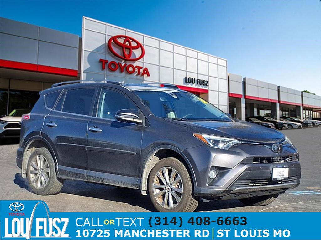 2017 Toyota RAV4 Platinum's photo