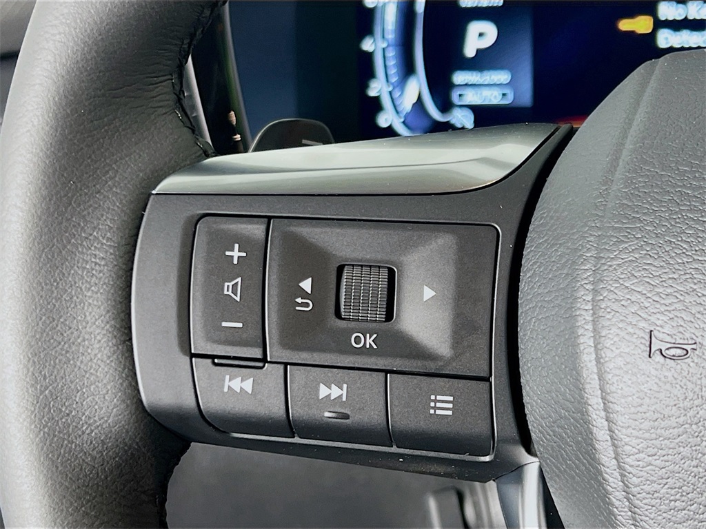 2025 Infiniti QX60 Luxe photo 10
